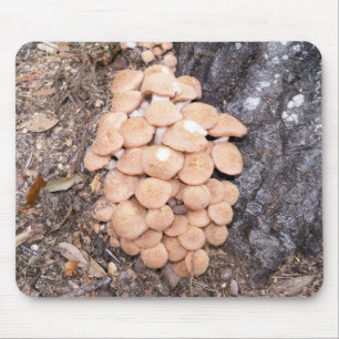 Tapis De Souris armillaires sans anneau