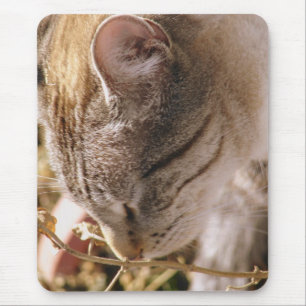 Tapis De Souris Arrêtez et sentez les fleurs Joli chat