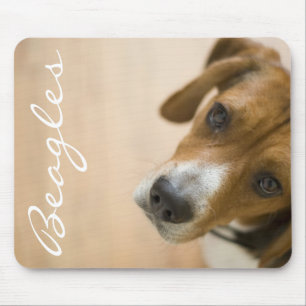 Tapis De Souris Arrière - plan de chien de beagle de Tricolored