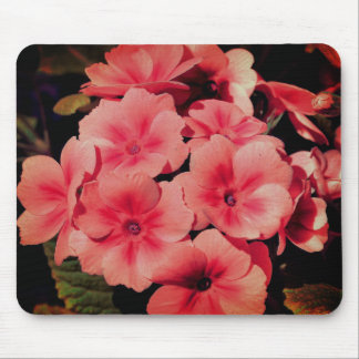 Tapis De Souris Art Abstrait Peach Primrose Flower