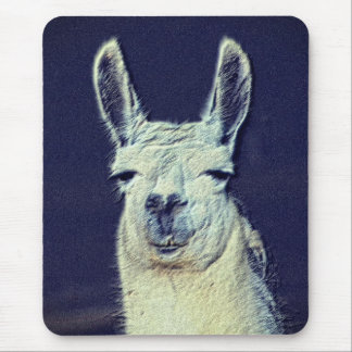 Tapis De Souris Art crayon numérique Llama Face