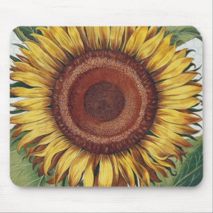 Tapis De Souris Art de fleur de damas vintage tournesol