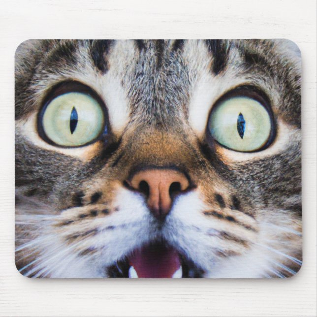 Tapis De Souris Art du chat | Surprised Kitty | Funny Kitten Mouse (Devant)