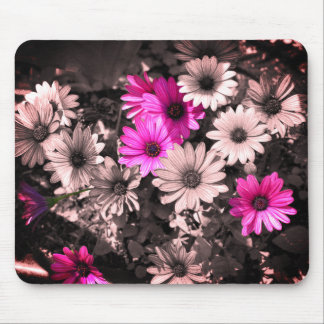 Tapis De Souris Art Fleur de marguerites africaines