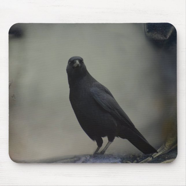 Tapis De Souris Art Old Crow (Devant)