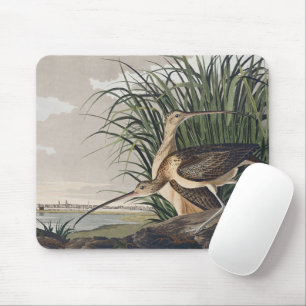 Tapis De Souris Art Vintage d'Audubon représentant le Courlis à lo