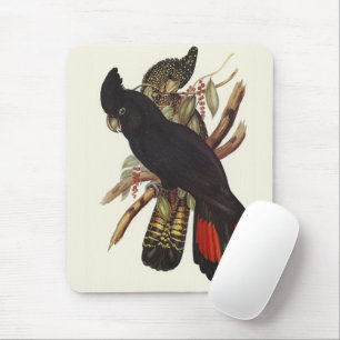 Tapis De Souris Art vintage de cacatoès à queue rouge de John Goul