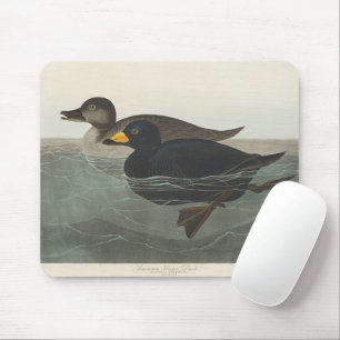 Tapis De Souris Art vintage d'oiseau canard scoter américain d'Aud