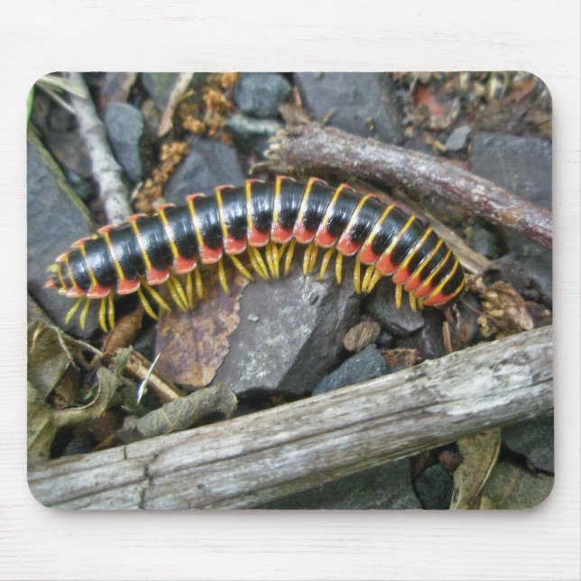 Tapis De Souris Articles de série Millipede (Devant)