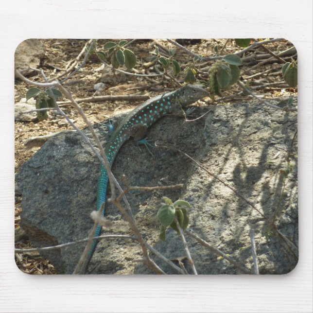 Tapis De Souris Aruba Whiptail Lizard Photographie d'animaux tropi (Devant)