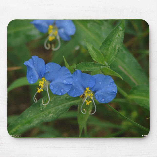 Tapis De Souris Asiatique Dayflower Bleu Fleur sauvage Vêtements e (Devant)