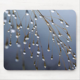 Tapis De Souris Asie, Chine Huansan, Dewdrops