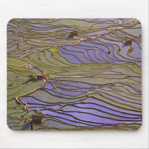 Tapis De Souris Asie, Chine, province du Yunnan, Yuanyang. Inondé