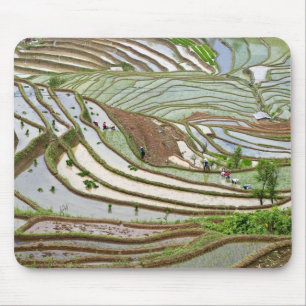 Tapis De Souris Asie, Chine, Yunnan, Jinping. Personnalité autoch