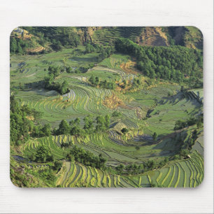Tapis De Souris Asie, Chine, Yunnan, Yuanyang. Motif de vert 2