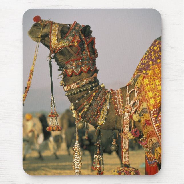 Tapis De Souris Asie, Inde, Pushkar. Chameau Shamu, Pushkar (Devant)