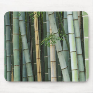 Tapis De Souris Asie, Japon, Kyoto, Arashiyama, Sagano, Bambou