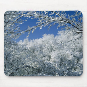 Tapis De Souris Asile d'hiver