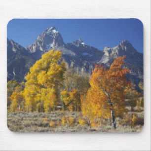 Tapis De Souris Aspen trees with the Teton mountain