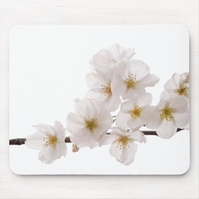 Tapis de souris assez blanc de fleurs de cerisier (Devant)