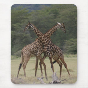 Tapis De Souris Associés parfaits - Mousepad