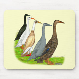 Tapis De Souris Assortiment de canard coureur