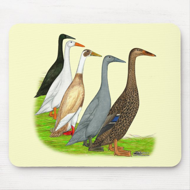 Tapis De Souris Assortiment de canard coureur (Devant)