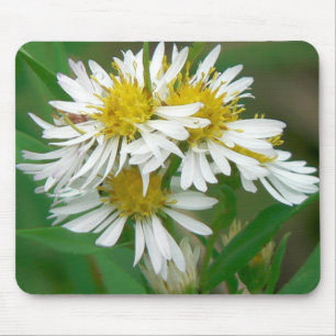 Tapis De Souris Asters blancs Mousepad