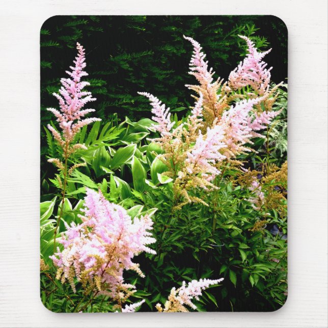 Tapis De Souris Astilbe (Devant)