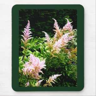Tapis De Souris Astilbe