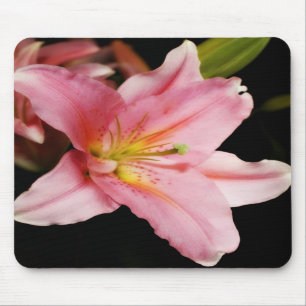 Tapis De Souris "Astronome" Mousepads