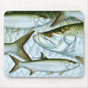 Tapis de souris atlantique de tarpon