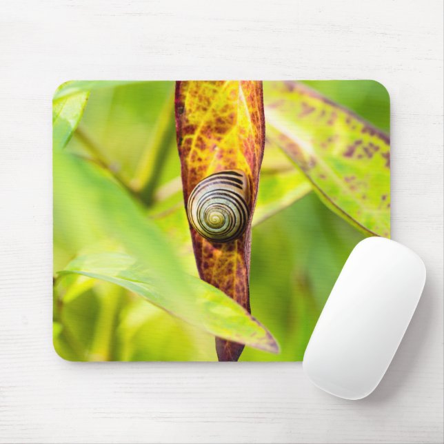 Tapis De Souris attachement calme (Avec souris)
