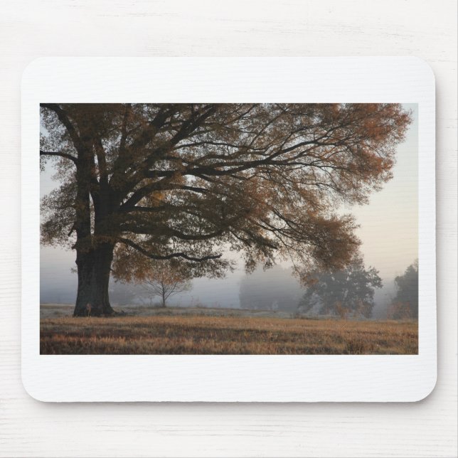 Tapis De Souris Atteindre (Devant)