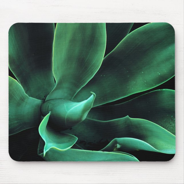 Tapis De Souris Atténuata Agave Vert (Devant)