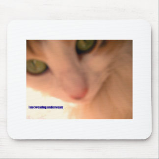 Tapis De Souris aucun minou de sous-vêtements