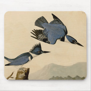 Tapis De Souris Audubon Belted Kingfisher Wildlife Bird