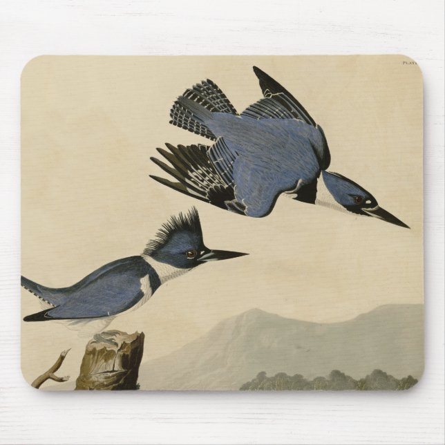 Tapis De Souris Audubon Belted Kingfisher Wildlife Bird (Devant)