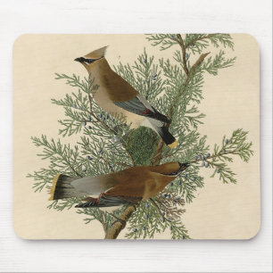 Tapis De Souris Audubon Cèdre cire oiseau