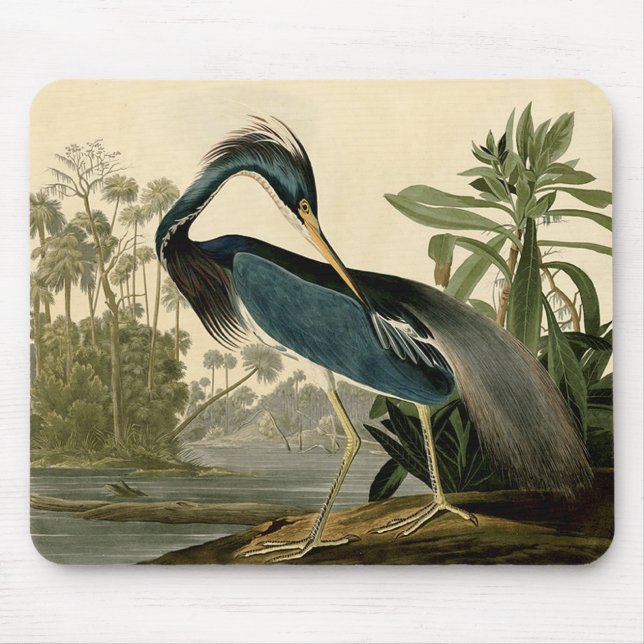 Tapis De Souris Audubon Louisiana Heron Birds America Art (Devant)