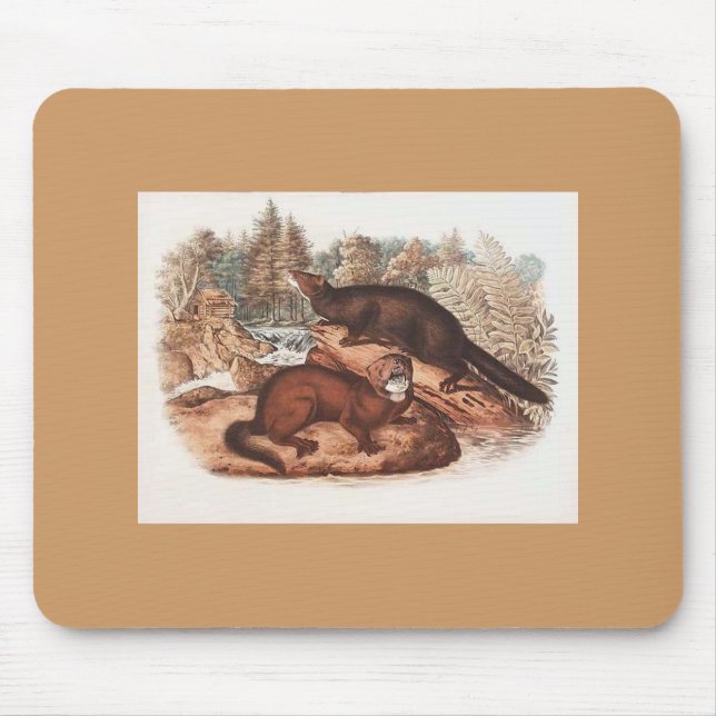 Tapis De Souris Audubon - Mince (Devant)