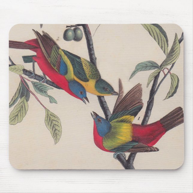 Tapis De Souris Audubon Peint Bunting Bird Wildlife (Devant)