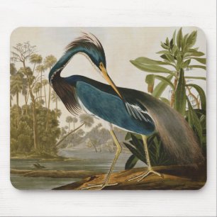 Tapis De Souris Audubon petit héros bleu