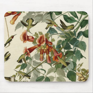 Tapis De Souris Audubon Throsé de colibri