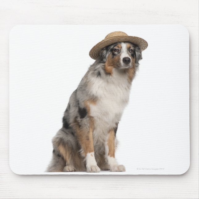 Tapis De Souris Australian Shepherd (10 mois) portant un (Devant)