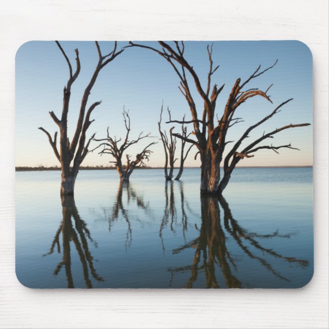 Tapis De Souris Australie, vallée du Murray, Barmera, lac (Devant)