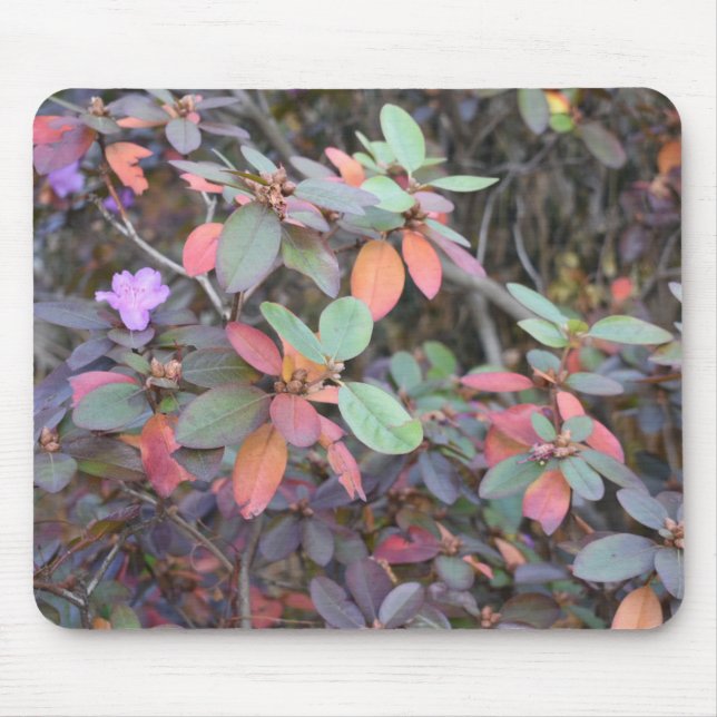 Tapis De Souris Automne Feuillage Automne Feuilles Nature Arbre Ph (Devant)