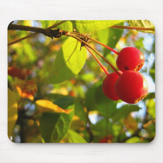 Tapis De Souris Automne fleurissant Mousepad de Crabapple (Devant)