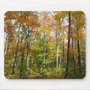 Tapis De Souris Automne Forêt II Automne Paysage Photographie