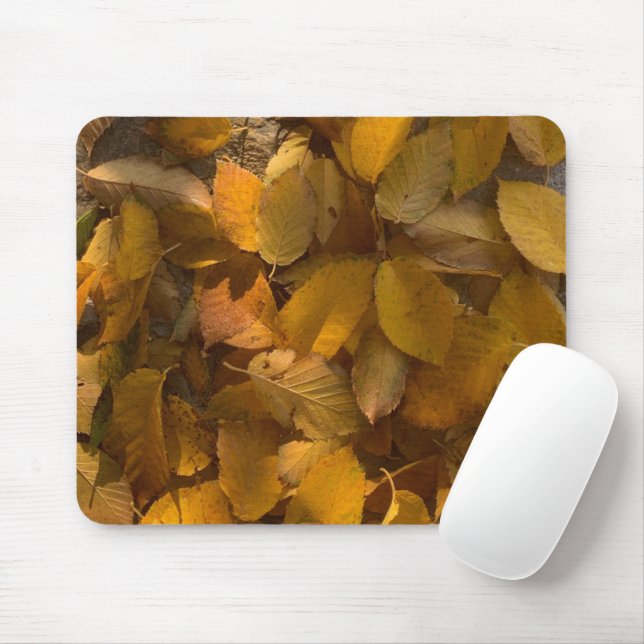 Tapis De Souris Automne glorieux sur une souris (1) (Avec souris)